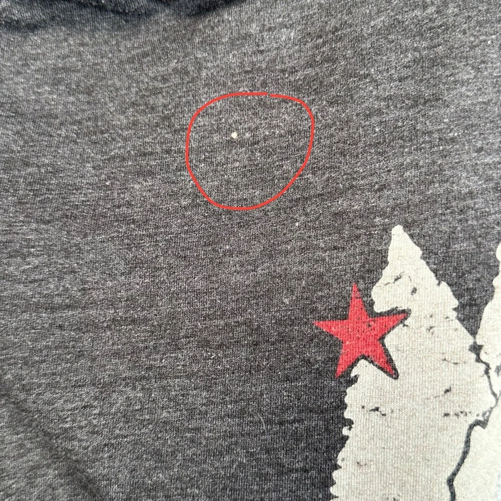 The North Face Cali Bear Tee Mens Large Gray Tri Blend Graphic Shirt Gorpcore